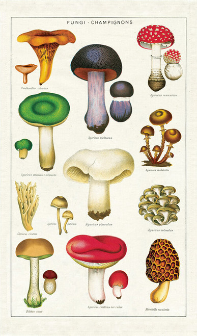 Cavallini Vintage Mushrooms Tea Towel