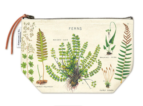 Cavallini Ferns Vintage Pouch Cavallini Ferns Vintage Pouch