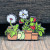 Mimic Gaming Co. Frog Among Houseplants Enamel Pin