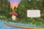 The Little Frog's Guide To Life