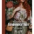 Handmade Renaissance Faire Fashion Book