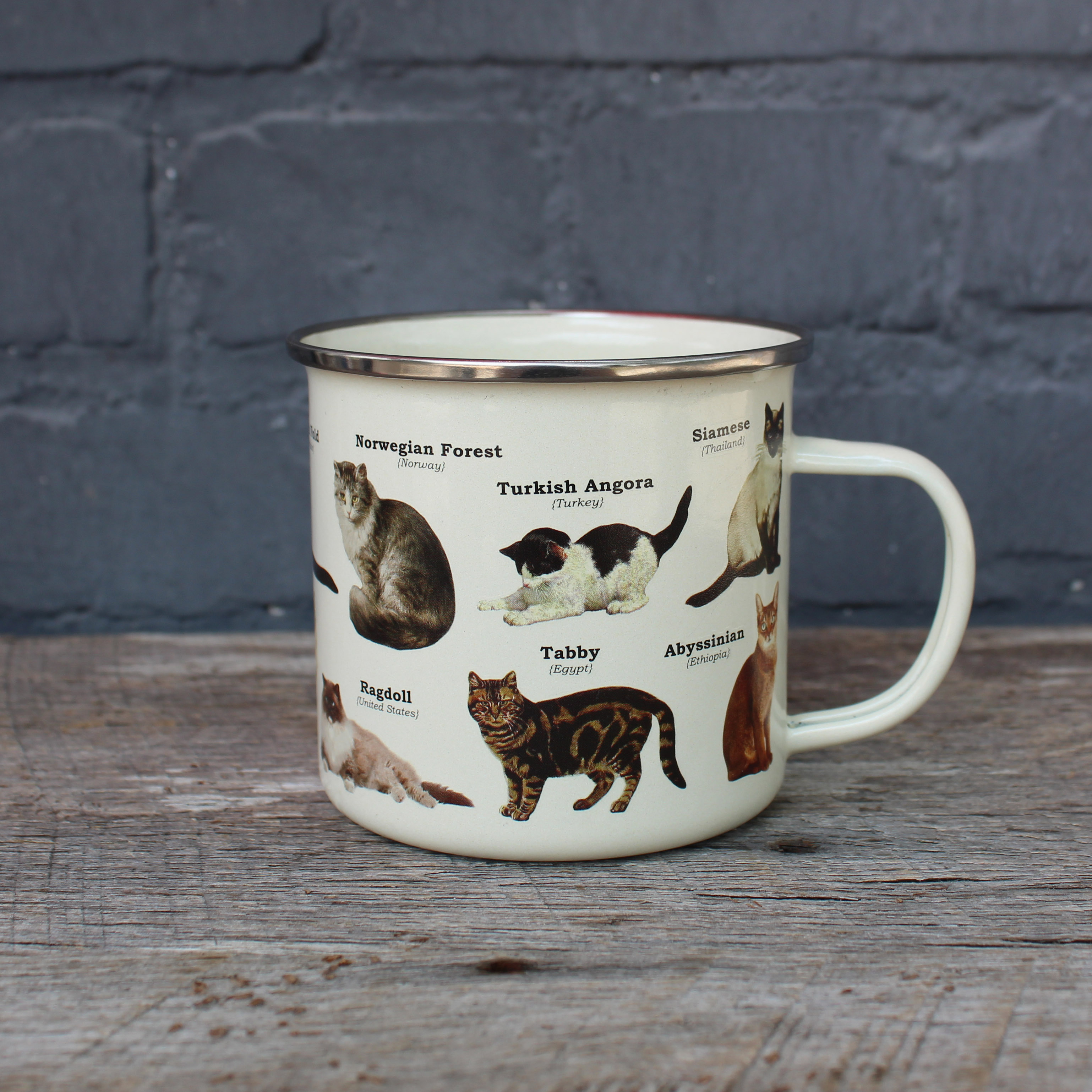 Cats Enamel Mug