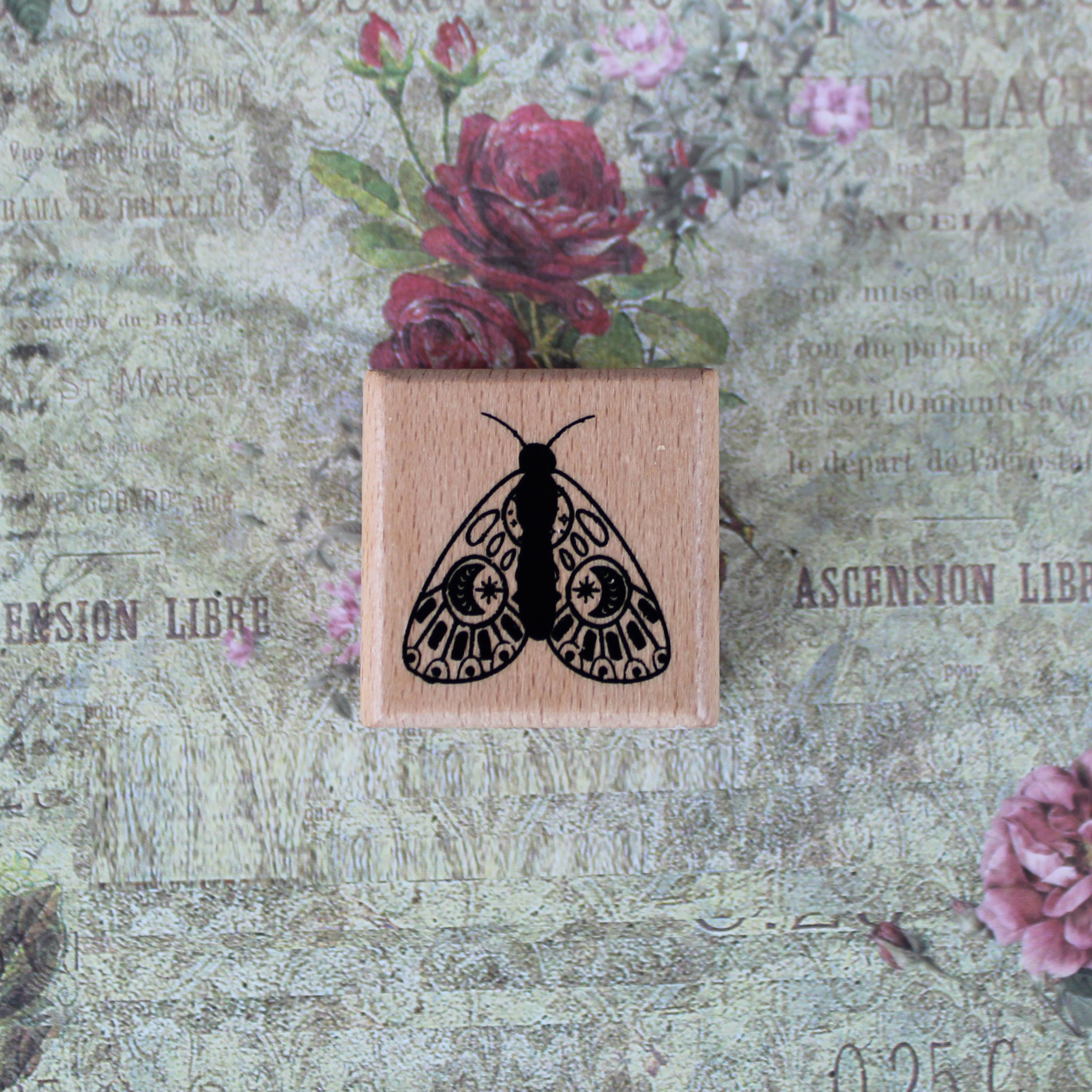 Boho Moth