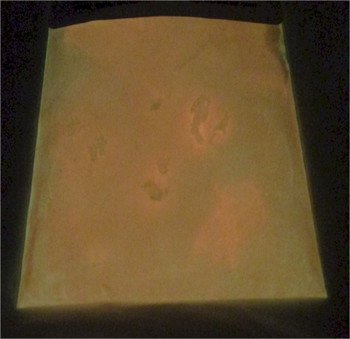 Fishing lure red glow powder PPSB-351LB colorant