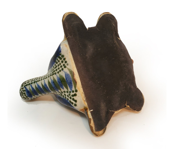 Underside of Bustamante turtle.