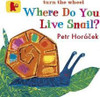 WHERE DO YOU LIVE SNAIL? (BB)