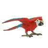 GREEN WINGED MACAW