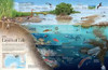 NAT GEO LAYERS OF LIFE 1000 PCS