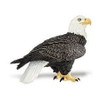 BALD EAGLE W1