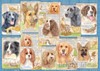 DUTIFUL DOGS PUZZLE 1000 PCS