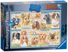 DUTIFUL DOGS PUZZLE 1000 PCS