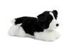 BORDER COLLIE W1