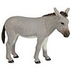 DONKEY W1