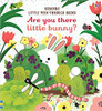 ARE YOU THERE LITTLE BUNNY LITTLE PEEK THROUGH BOOK