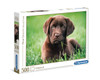 500 PC PUZZLE CHOCOLATE PUPPY