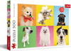 DOGS PUZZLE 500PCS