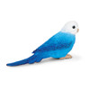 BLUE BUDGIE