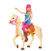 BARBIE AND HORSE SET