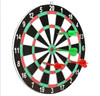 DART BOARD PROFESSIONAL