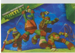 TMNT TABLE COVER