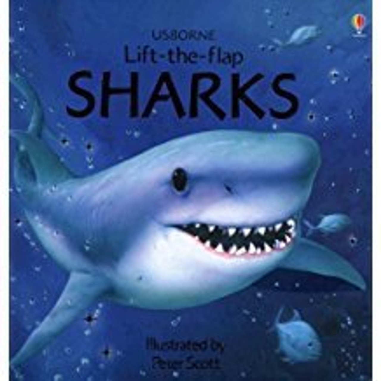 LIFT-THE-FLAP SHARKS