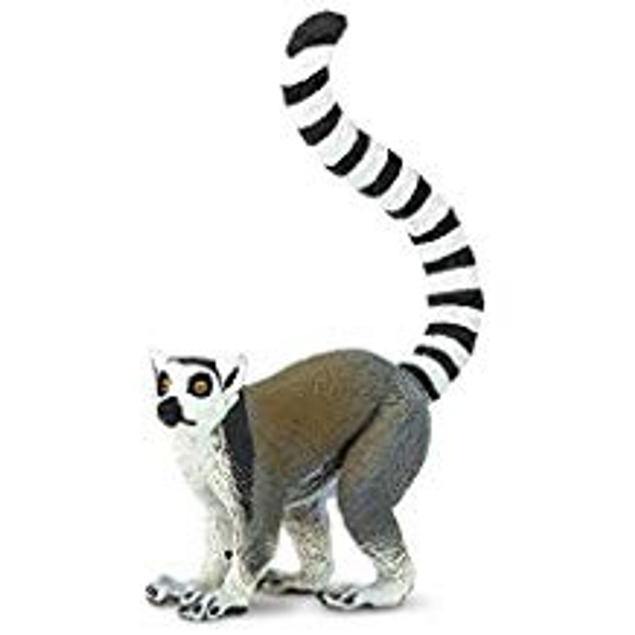 RING TAILER LEMUR