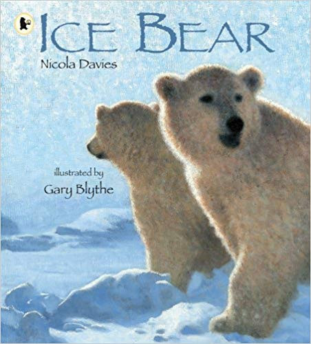 ICE BEAR (PB)