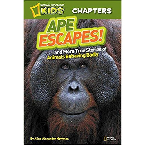 NGK CHAPTERS APE ESCAPES! (PB)