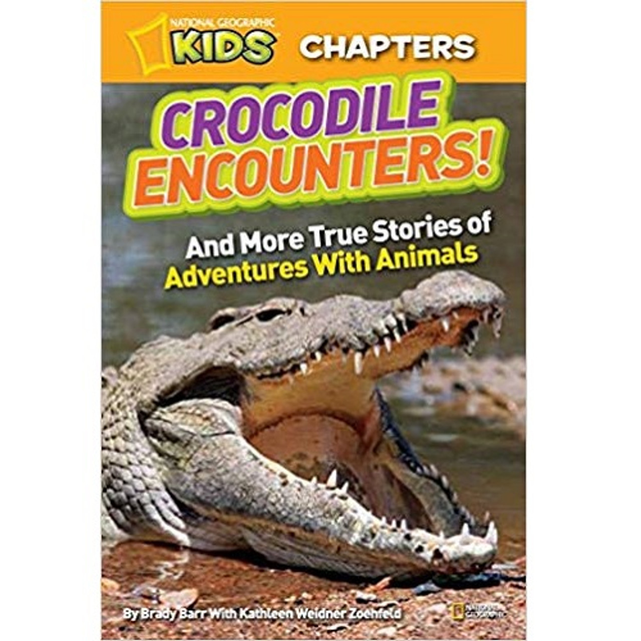 NGK CHAPTERS CROCODILE ENCOUNT