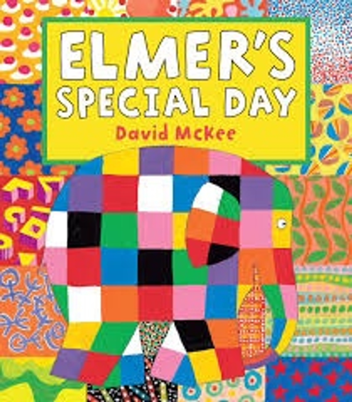 ELMER'S SPECIAL DAY (PB)