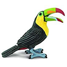 TOUCAN