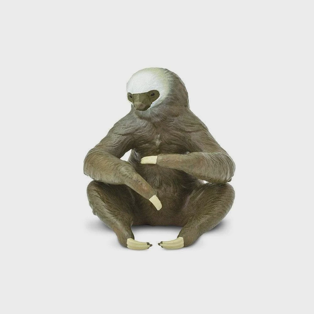 TWO TOED SLOTH