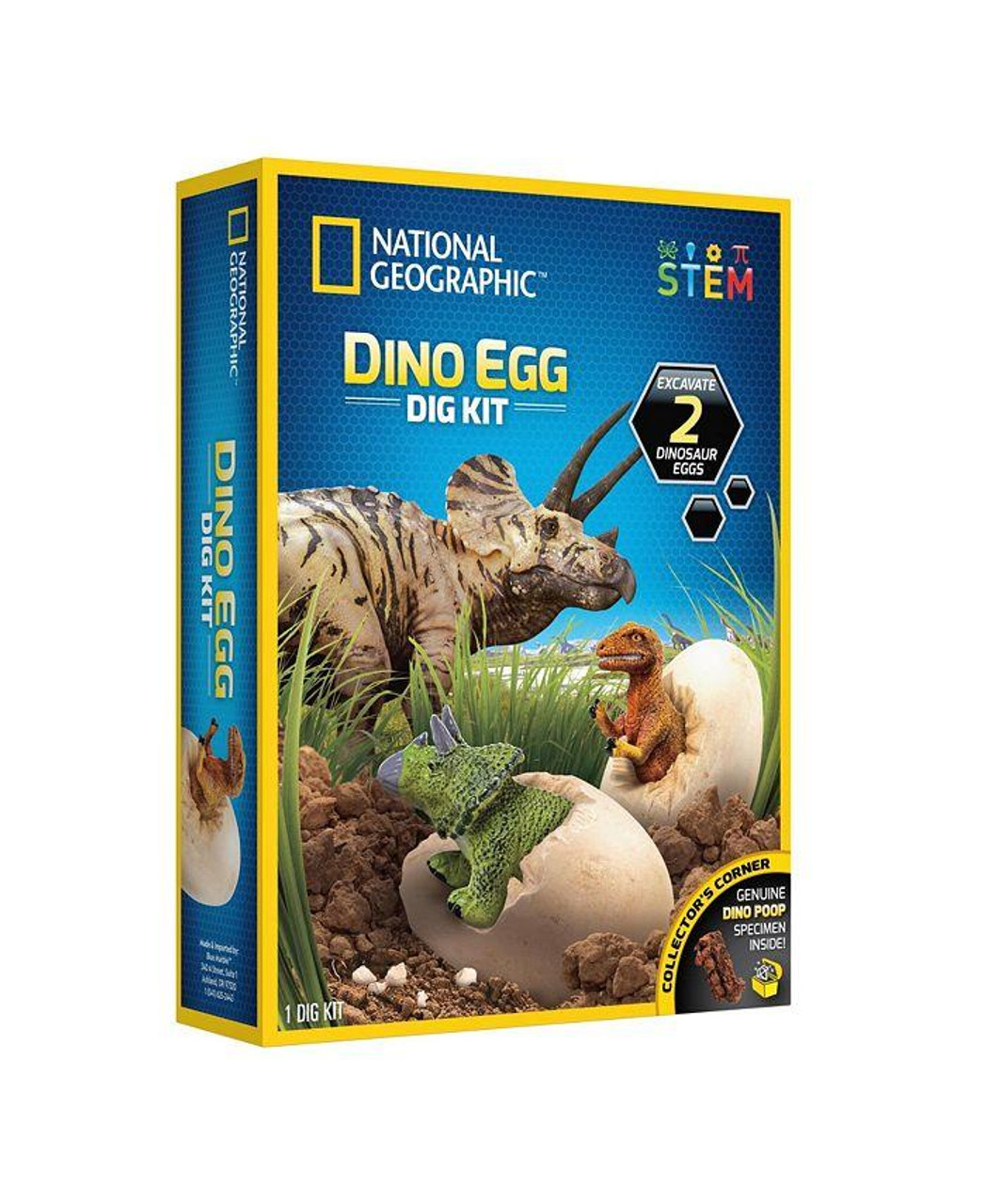 NAT GEO DINO EGG DIG KIT