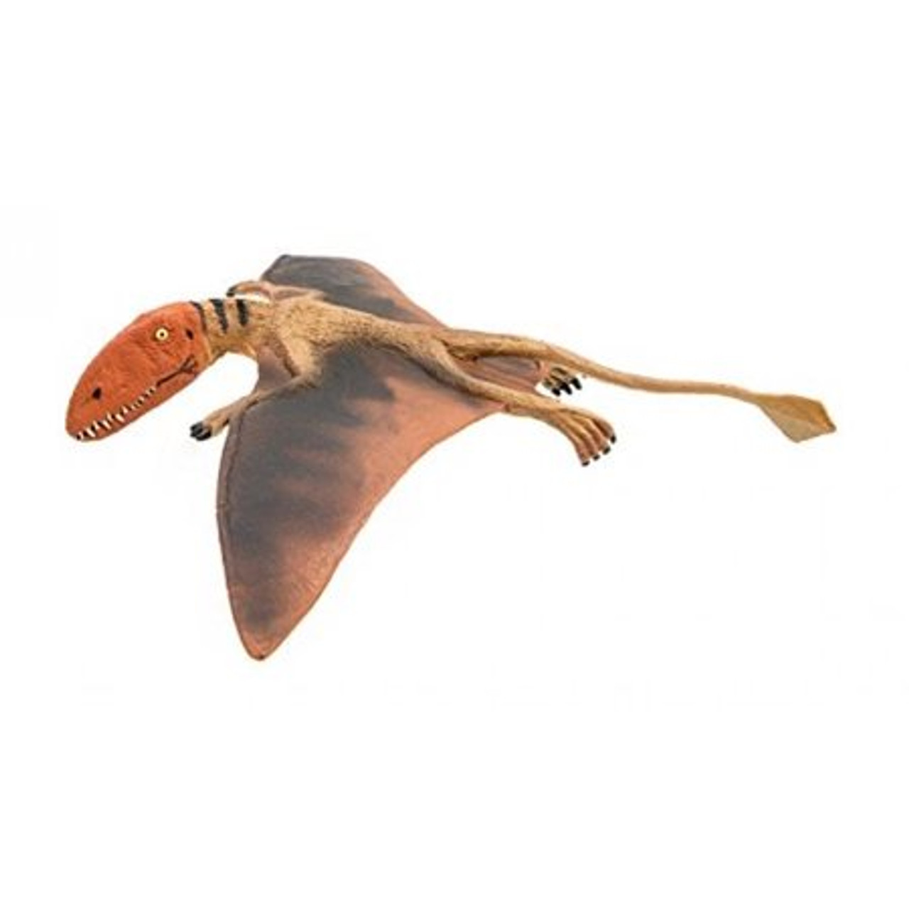 DIMORPHODON