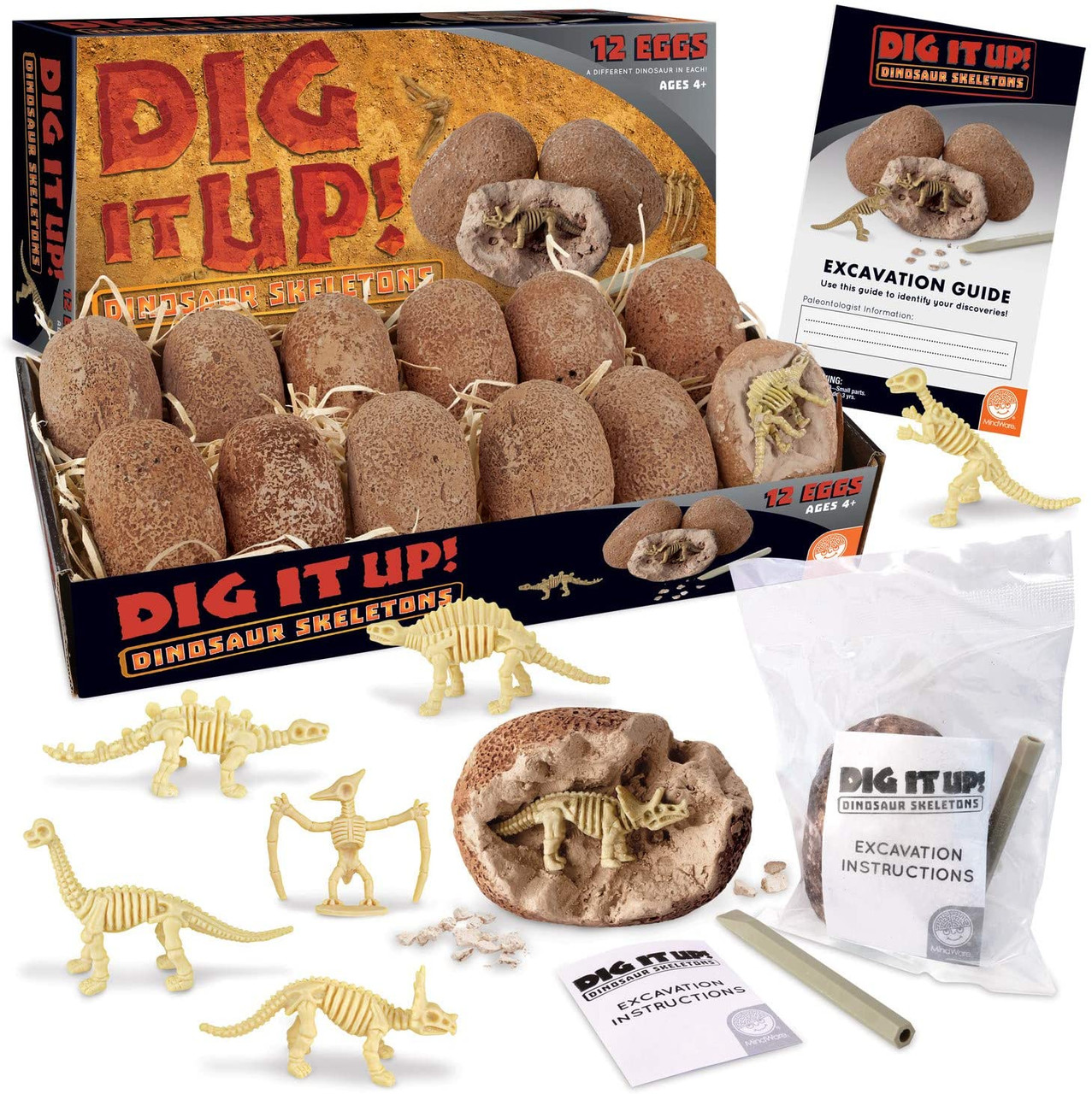 DIG UP! DINOSAUR SKELETONS