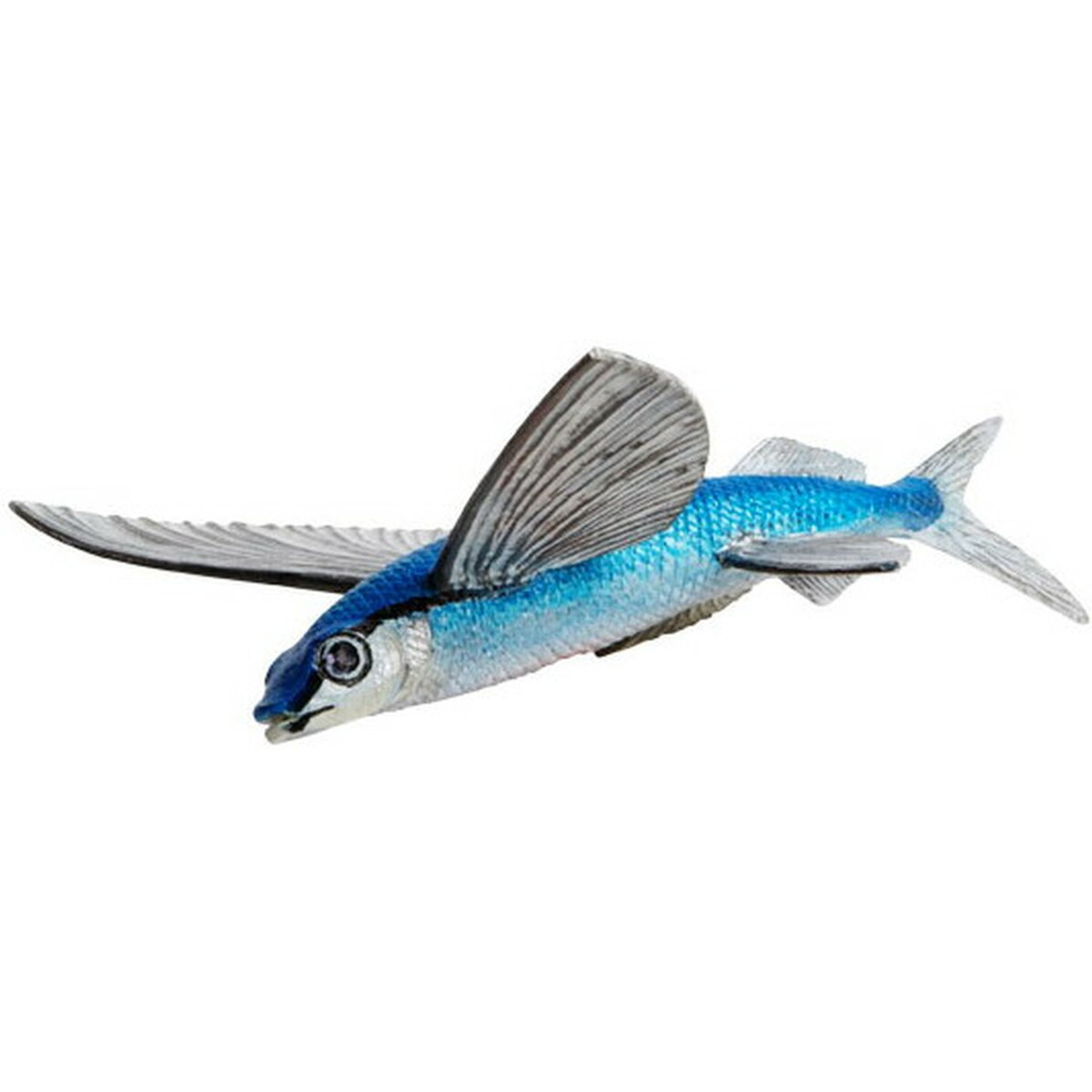 FLYING FISH Toys Club