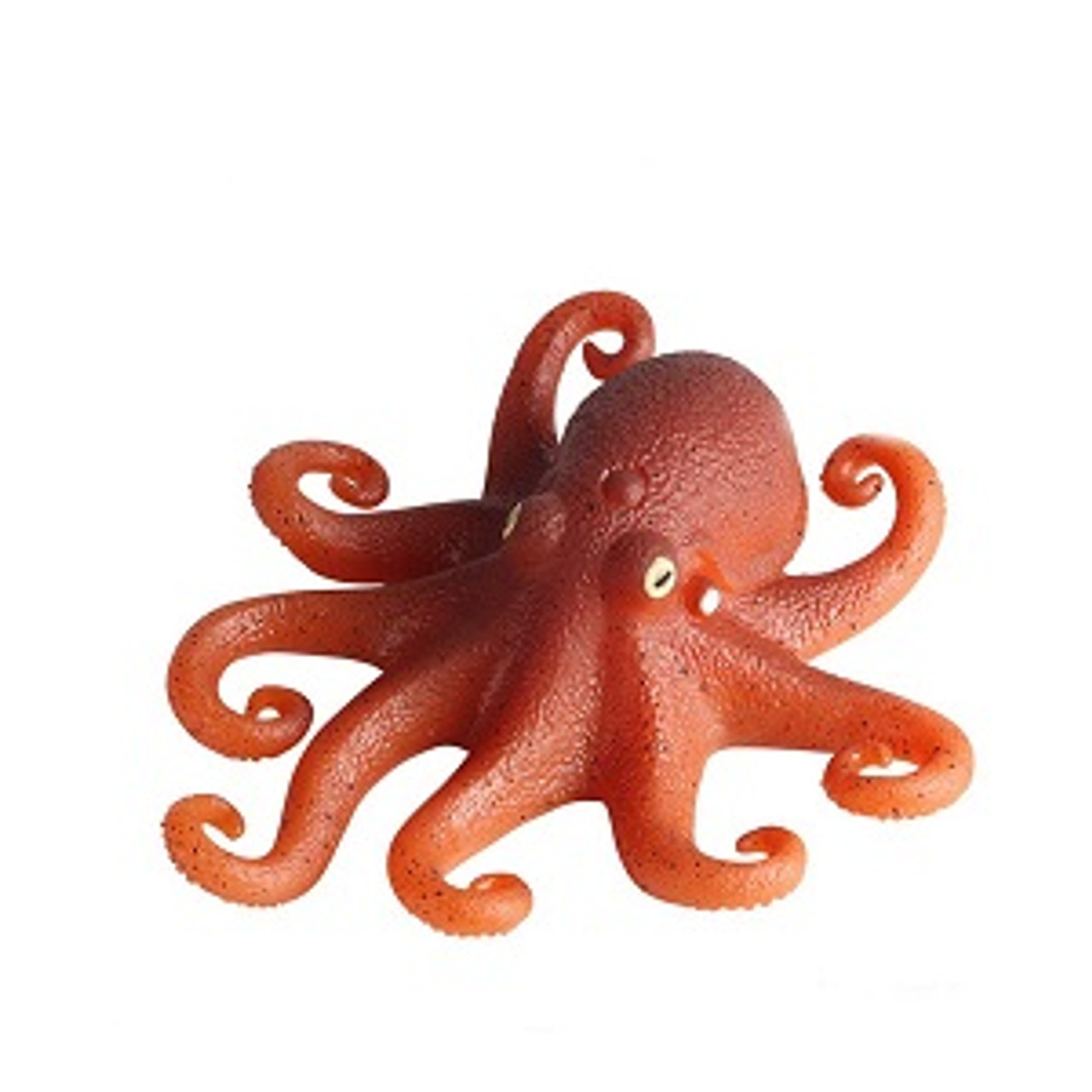 SEA WORLD OCTOPUS