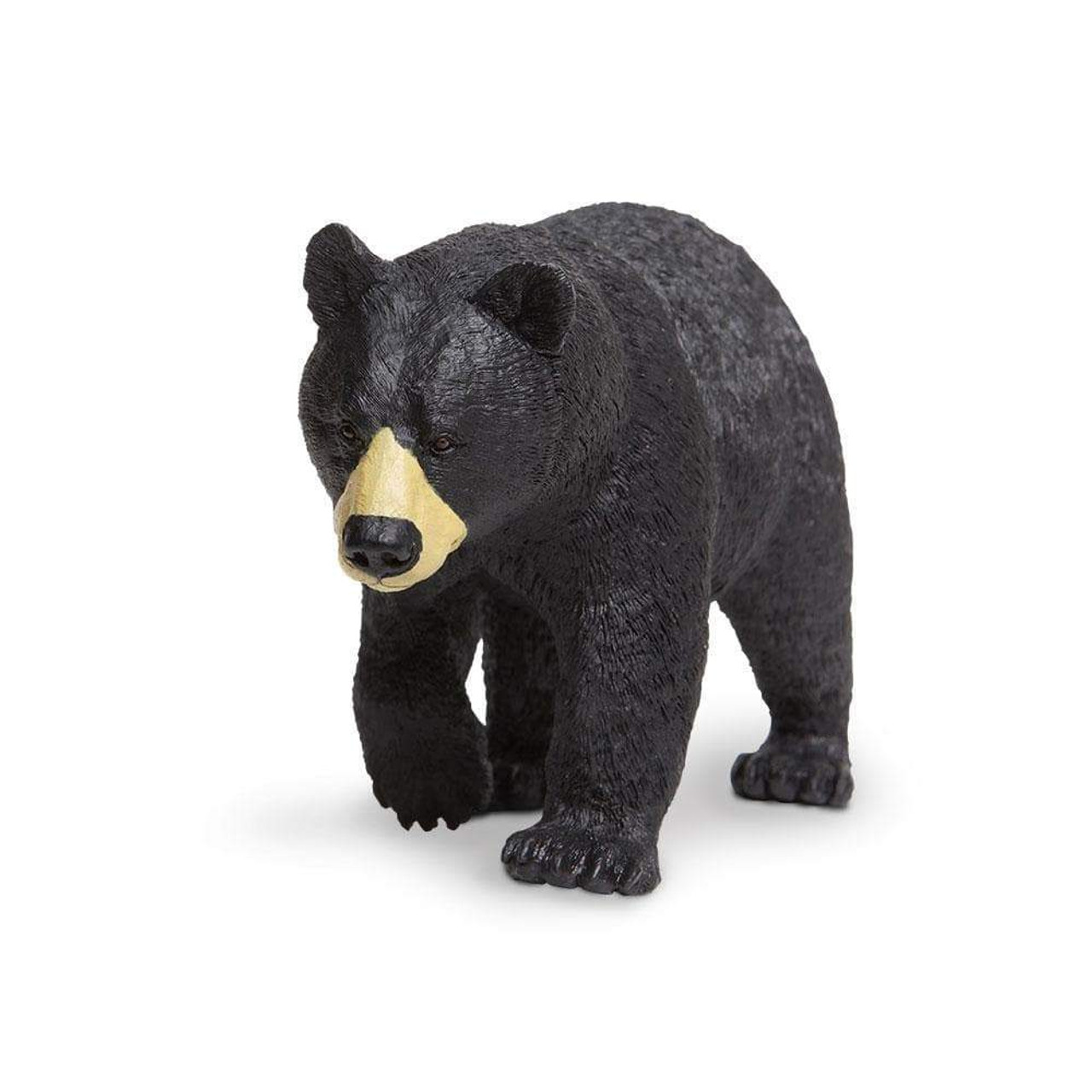 BLACK BEAR W1