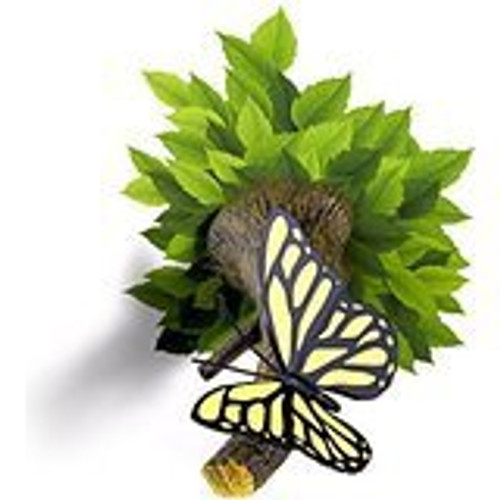 3D DECO LIGHT BUTTERFLY