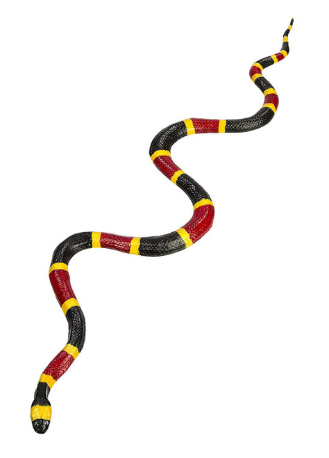 CORAL SNAKE