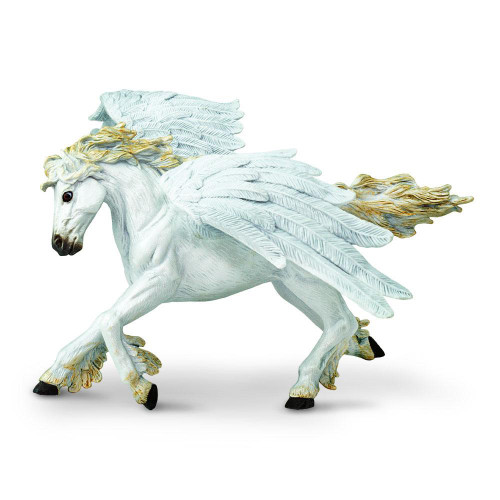 PEGASUS