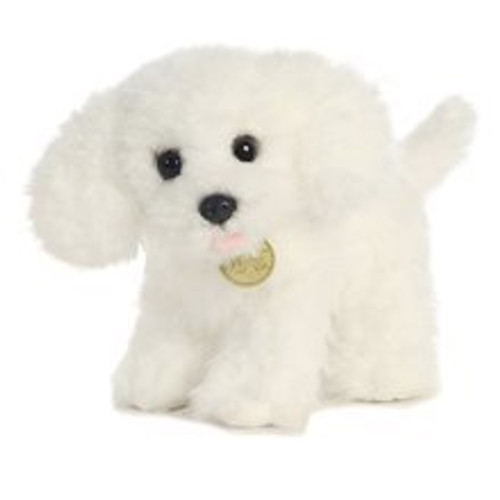 BICHON FRISE PUPPY