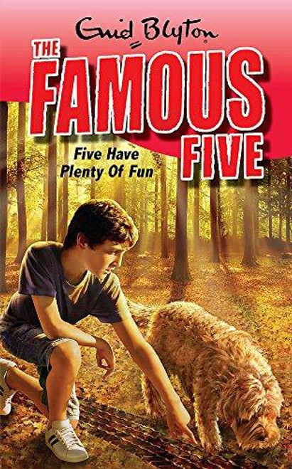 FAMOUS FIVE 14 FIVE HAVE PLENT