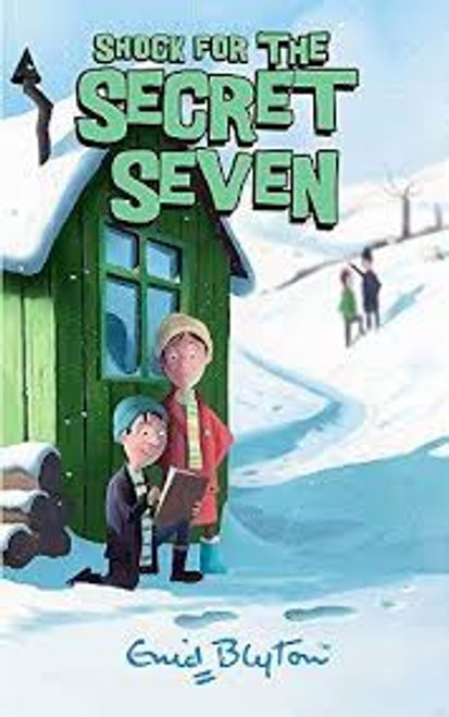 THE SECRET SEVEN #13