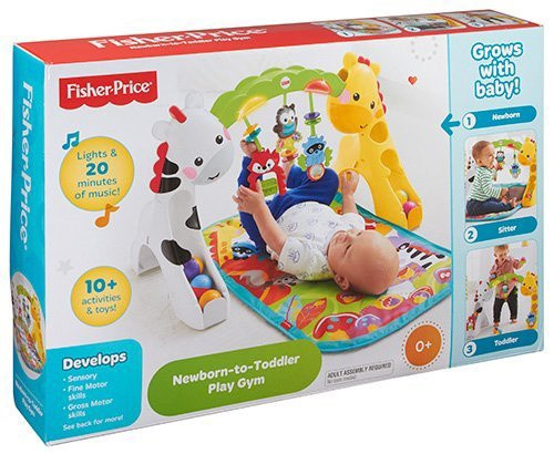 FISHER-PRICE NEWBORN-TO-TODDLER PLAY GYM