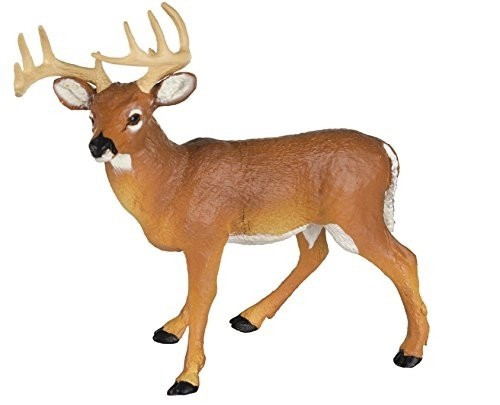 WHITETAIL BUCK