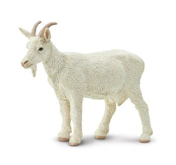 NANNY GOAT