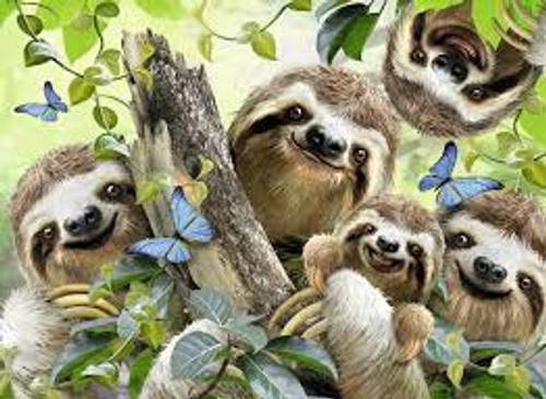 SLOTH SELFIE PUZZLE 500 PCS