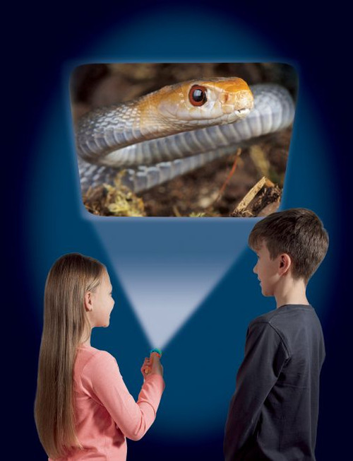 MOST DEADLY TORCH AND PROJECTOR