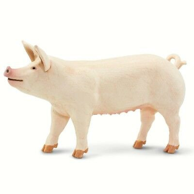 LARGE WHITE PIG